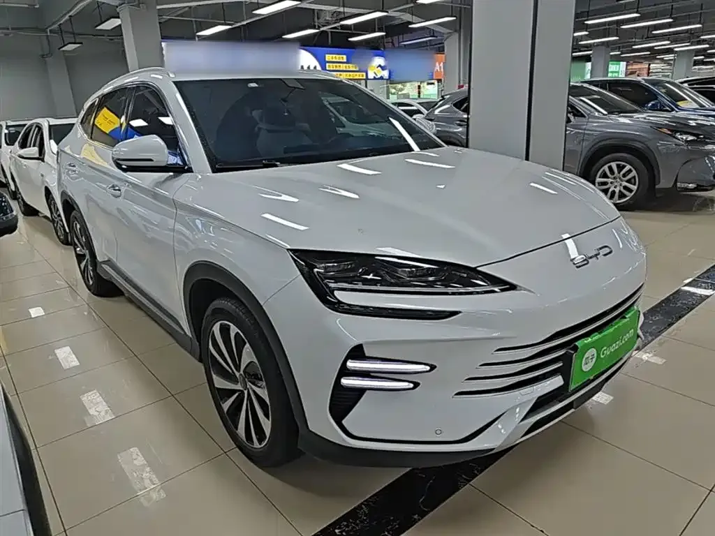 BYD PLUS New Energy — фото 5
