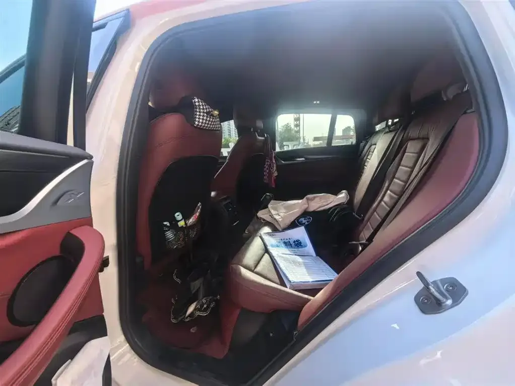 BMW X4 2021 из CN, фото 3