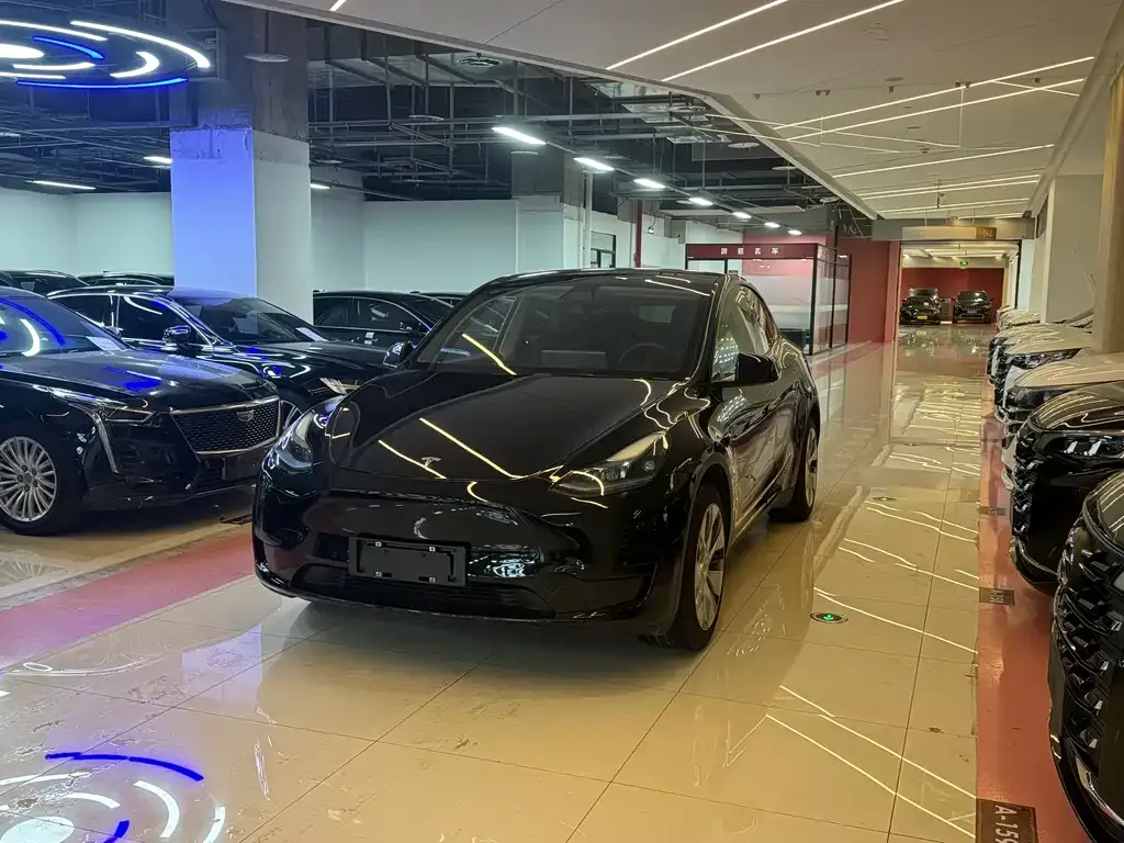 Tesla Model Y — фото 1