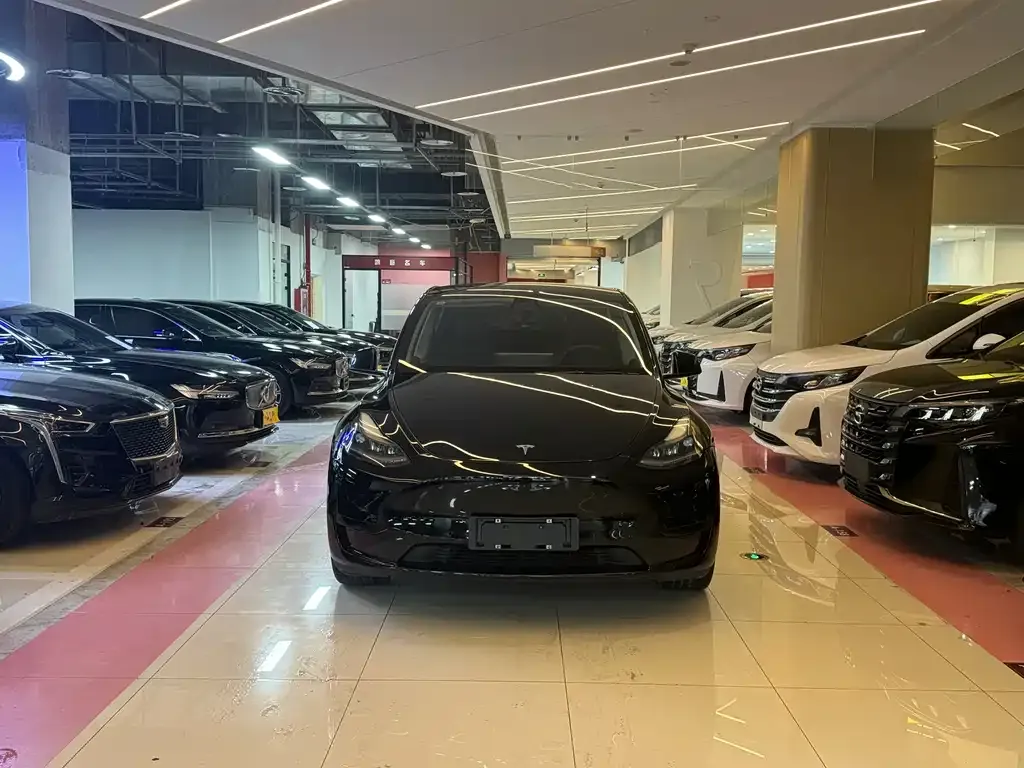 Tesla Model Y — фото 8