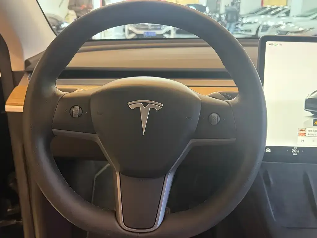 Tesla Model Y — фото 3