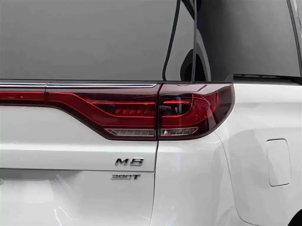 GAC Motor Trumpchi M8 — фото 6