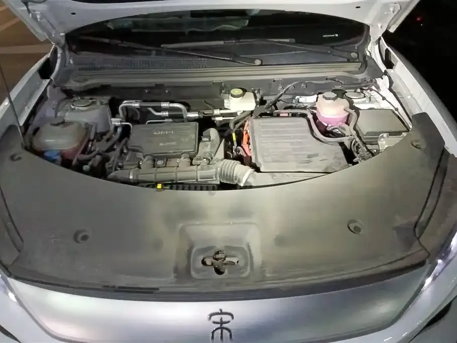 BYD Pro New Energy — фото 5
