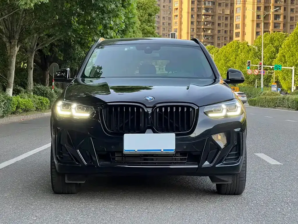 BMW X3 — фото 1