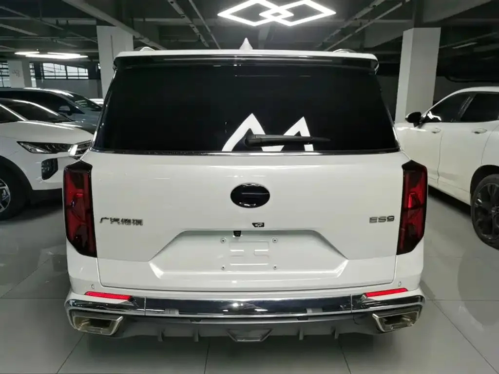GAC Motor Trumpchi ES9 2024 из CN, фото 10