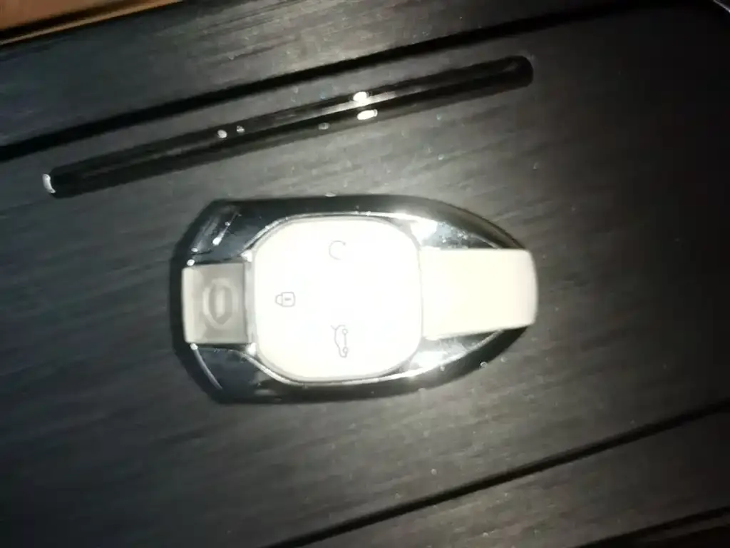 GAC Motor Trumpchi ES9 2024 из CN, фото 2