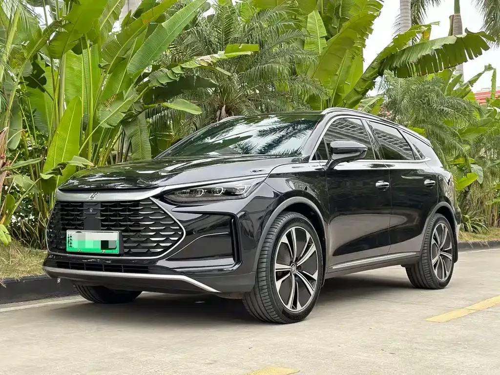 BYD Tang New Energy — фото 1