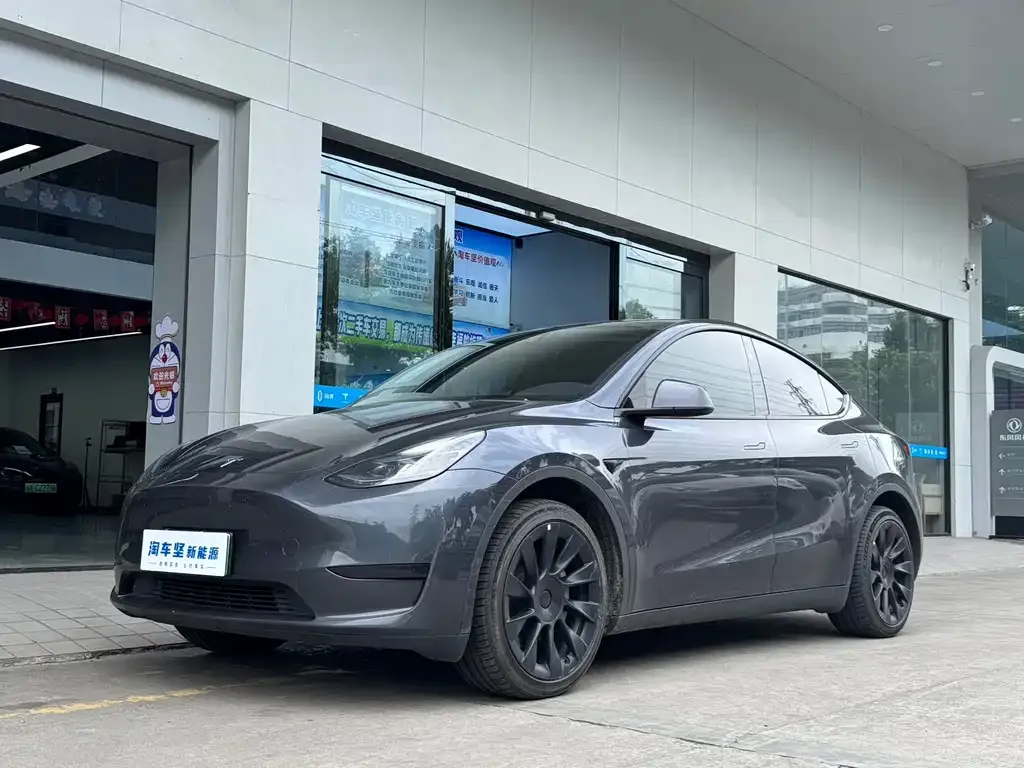 Tesla Model Y — фото 1