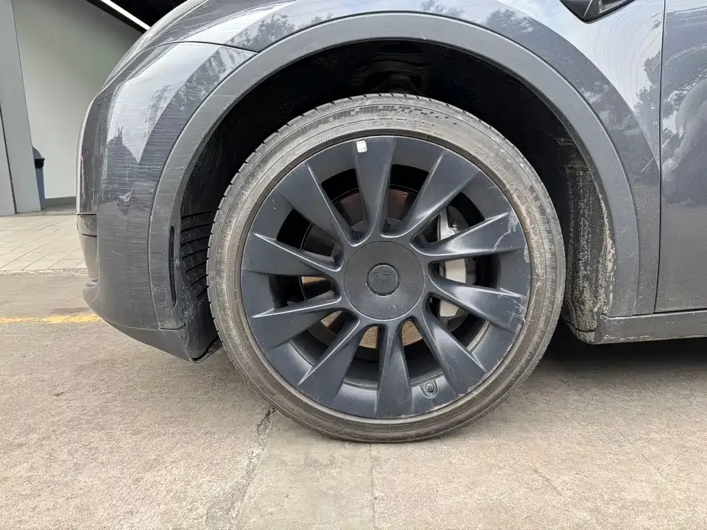 Tesla Model Y — фото 2