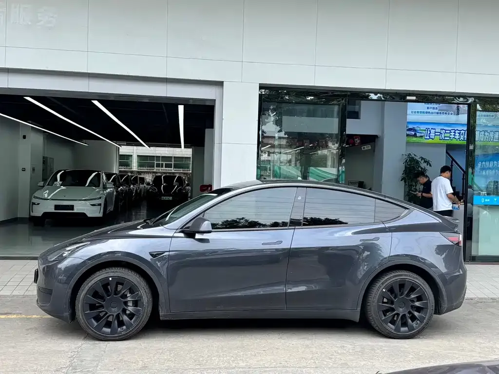 Tesla Model Y — фото 10