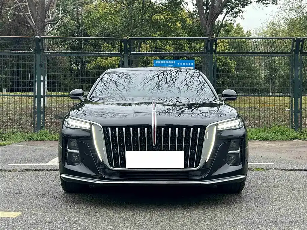 Hongqi H5 2025 из CN, фото 6