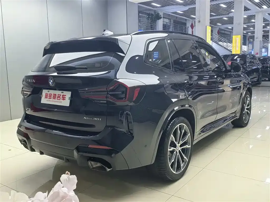 BMW X3 2024 из CN, фото 9