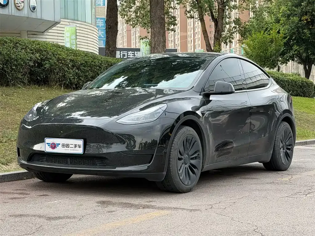 Tesla Model Y — фото 1