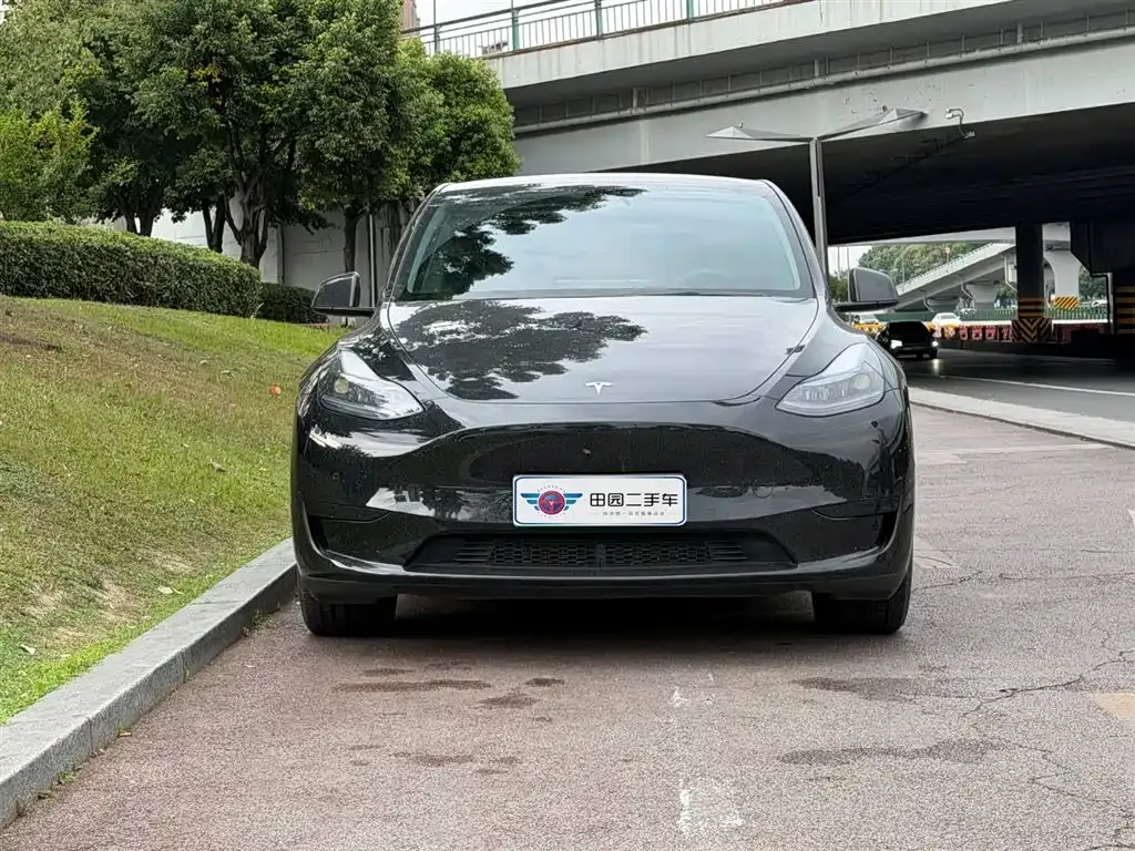 Tesla Model Y — фото 5