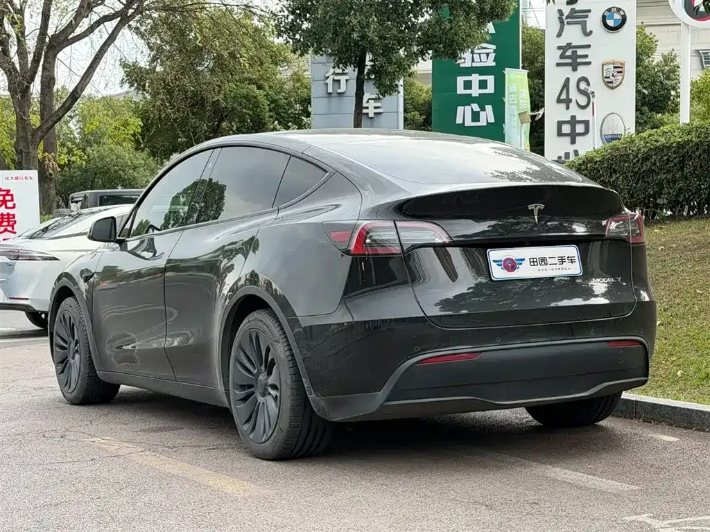 Tesla Model Y — фото 9
