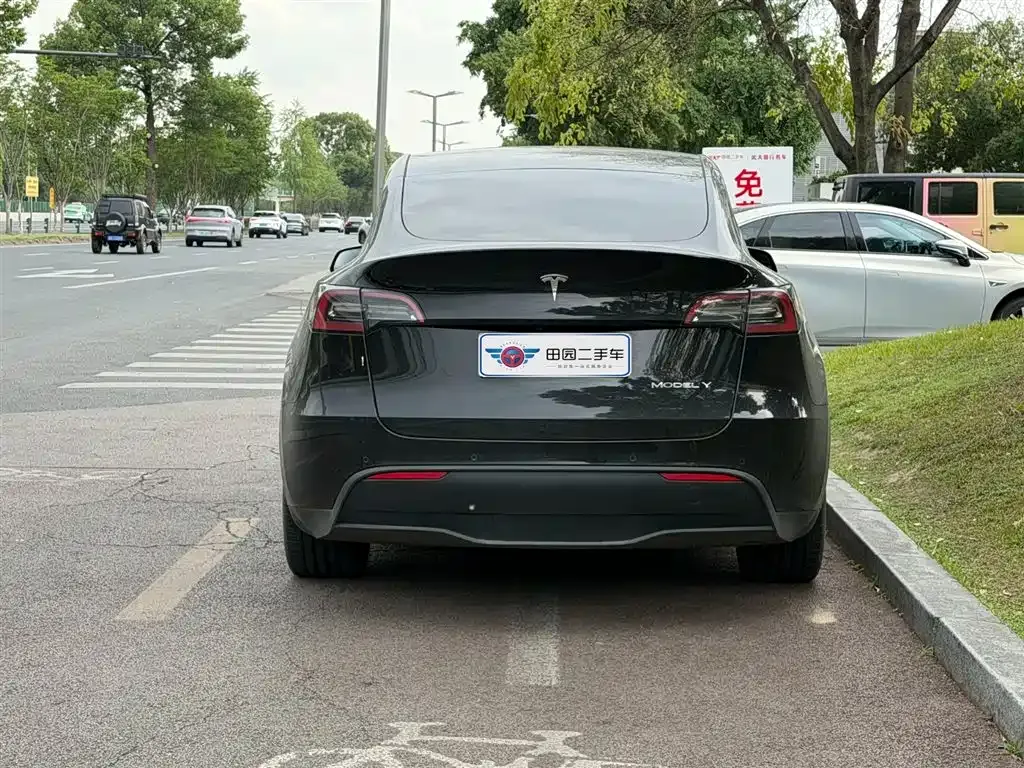 Tesla Model Y — фото 10