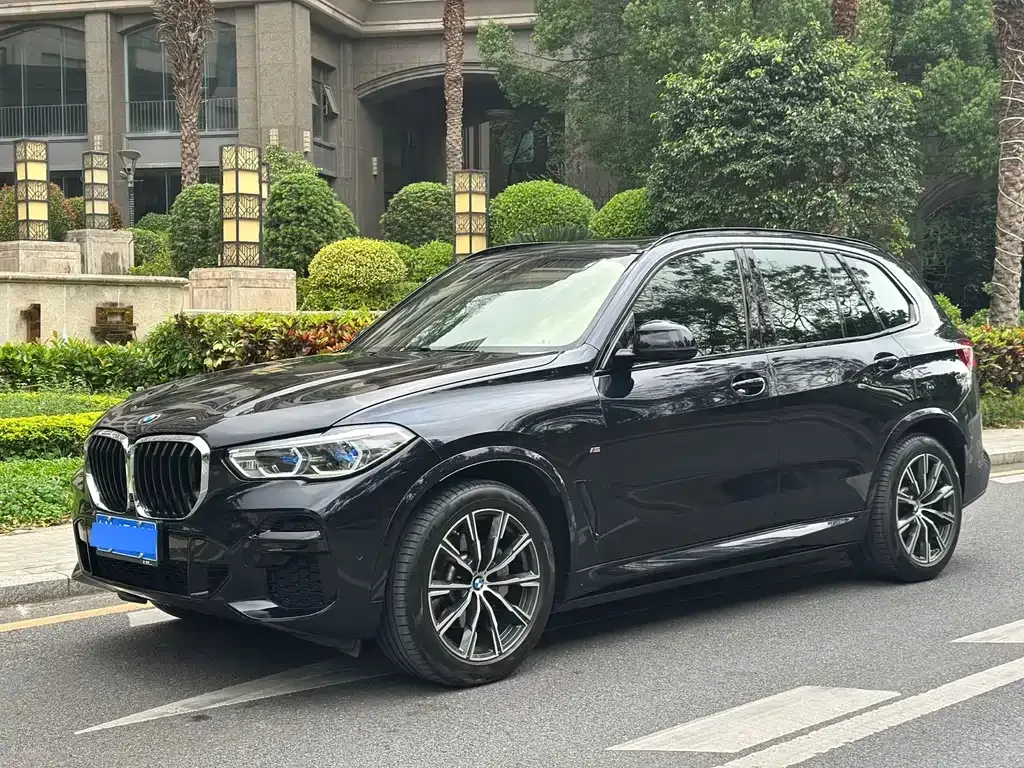 BMW X5 (Import) — фото 1