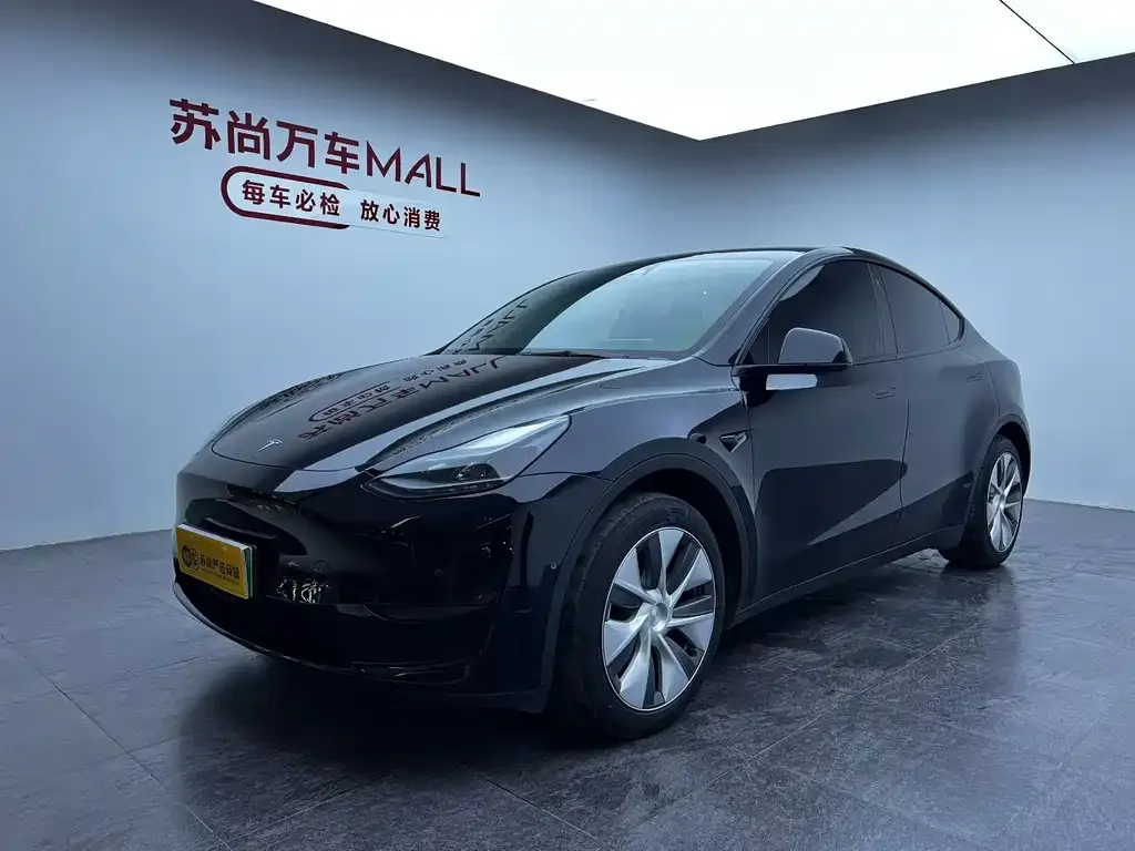 Tesla Model Y — фото 1