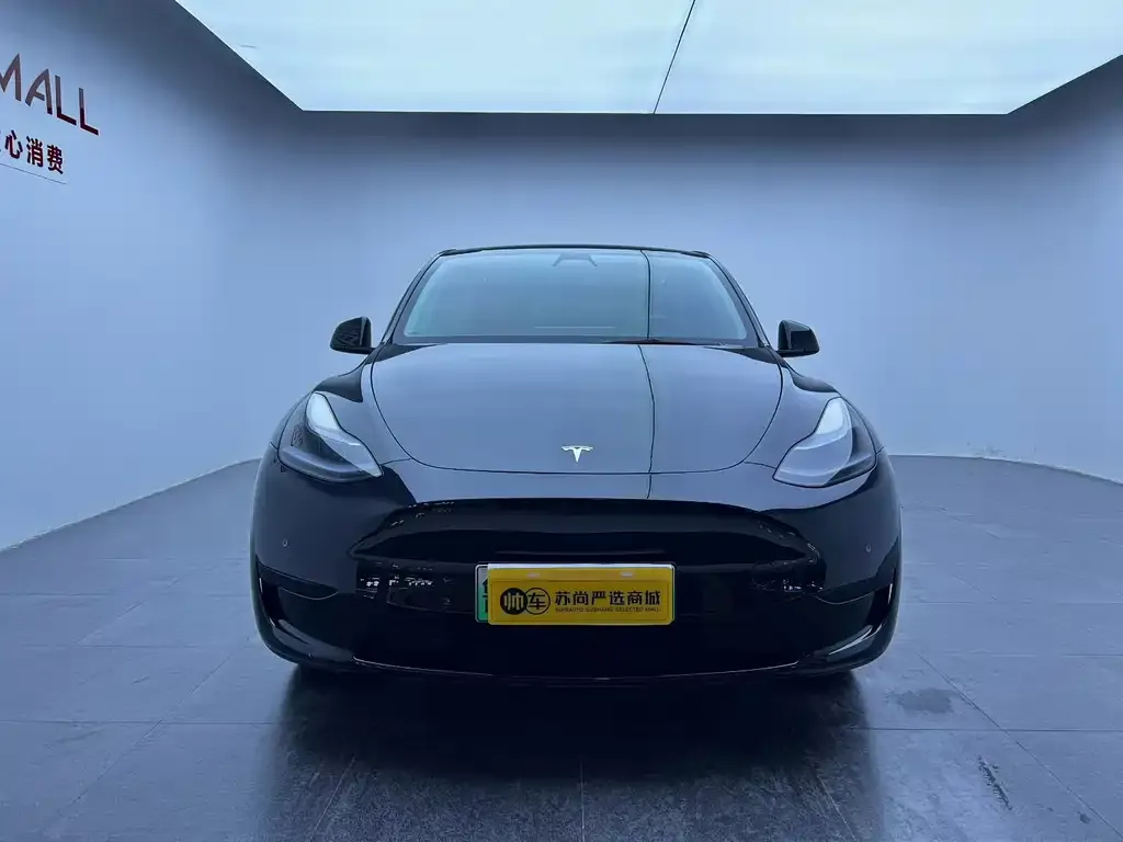 Tesla Model Y — фото 2
