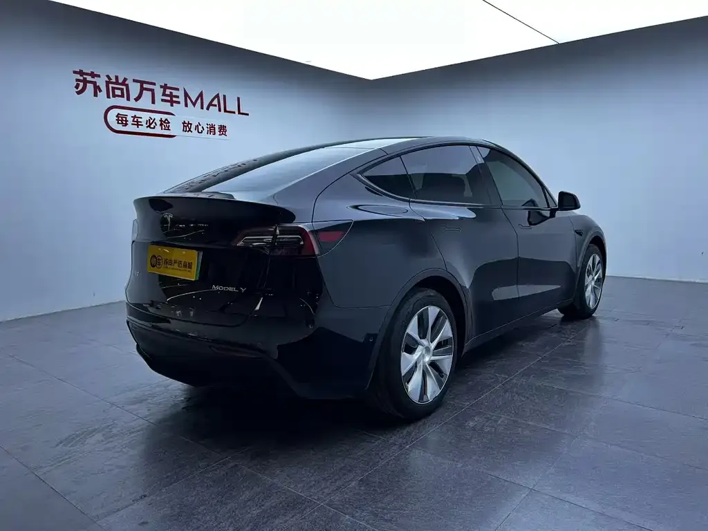 Tesla Model Y — фото 8