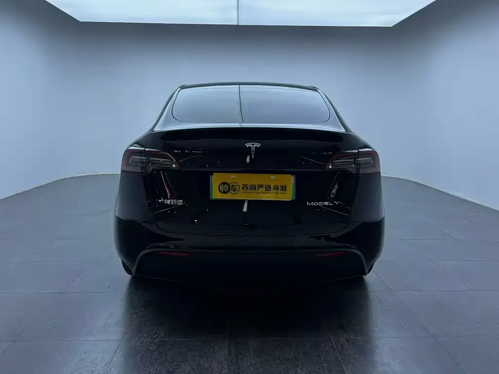Tesla Model Y — фото 4