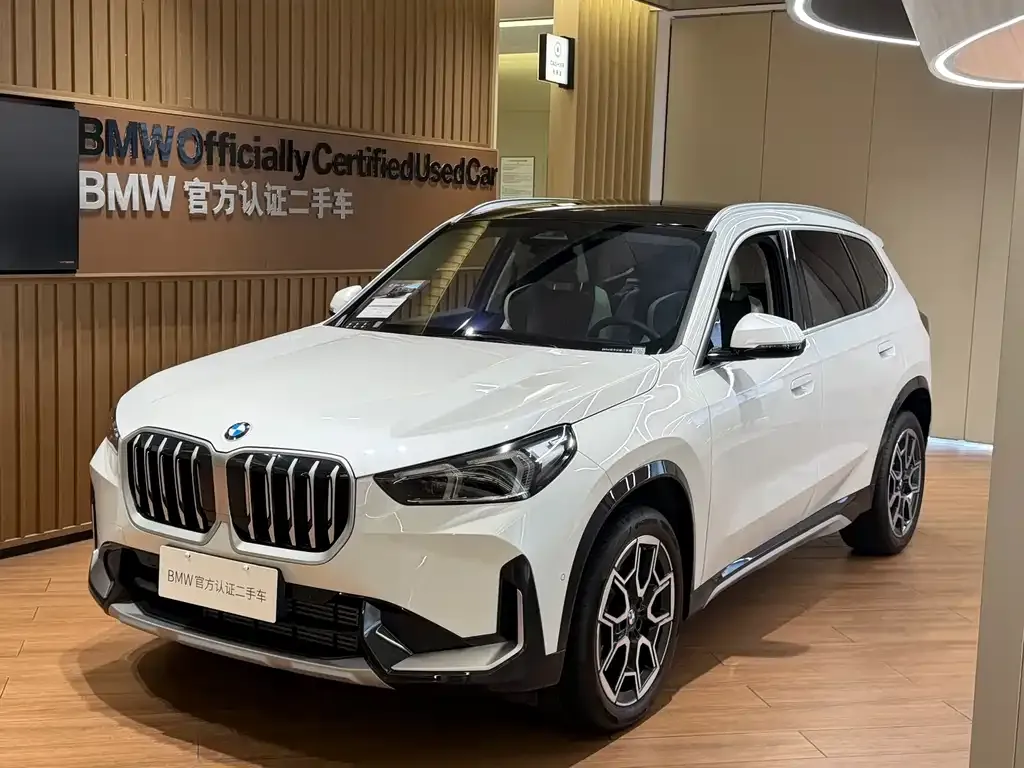 BMW X1 — фото 1