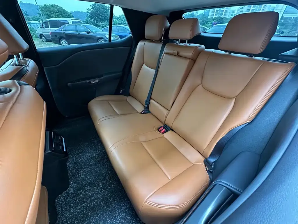 Lexus RZ 2023 из CN, фото 7