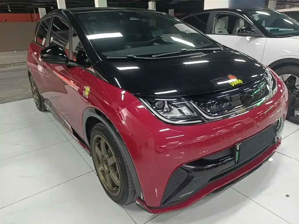 BYD Dolphin 2023 из CN, фото 4