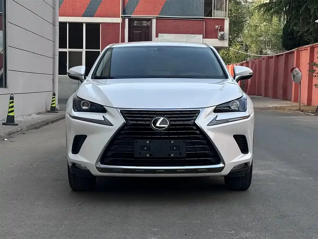 Lexus NX 2021 из CN, фото 6