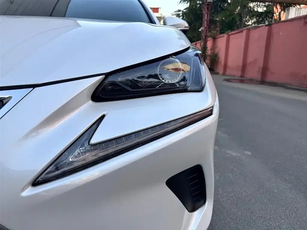 Lexus NX 2021 из CN, фото 10