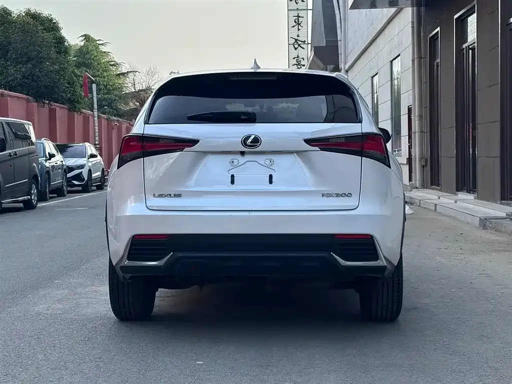 Lexus NX 2021 из CN, фото 4