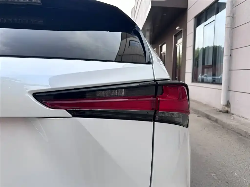 Lexus NX 2021 из CN, фото 2