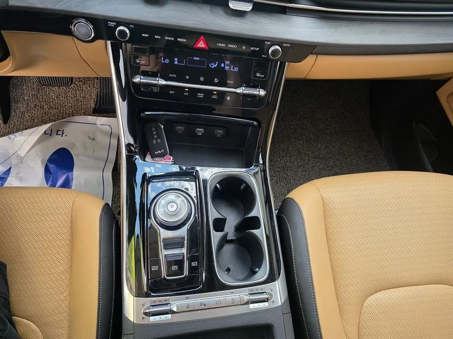 Kia Carnival — фото 10