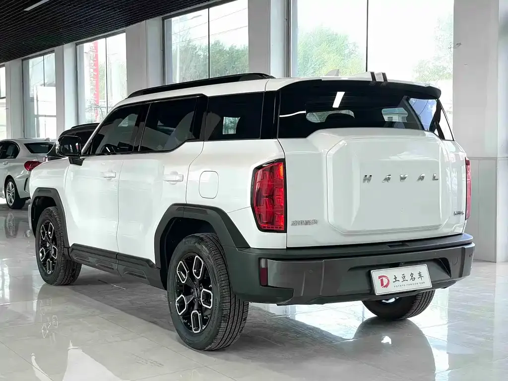 Haval Cool Dog — фото 6