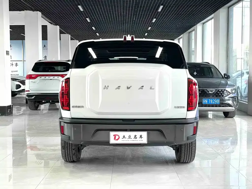 Haval Cool Dog — фото 10