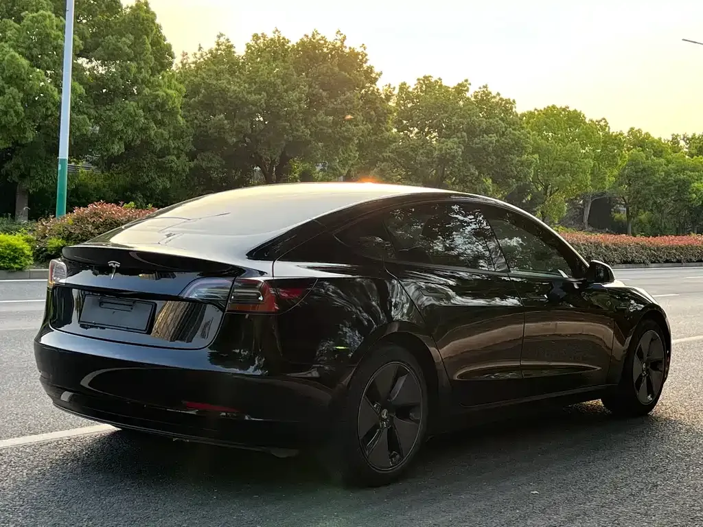 Tesla Model 3 — фото 3
