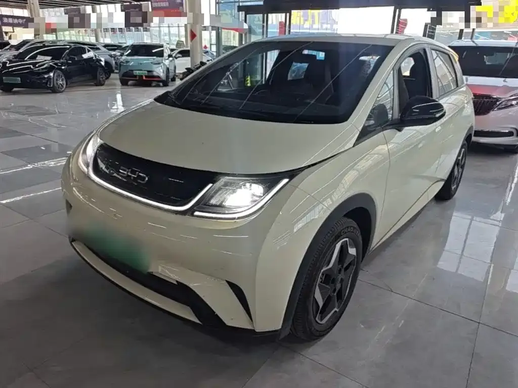 BYD Dolphin