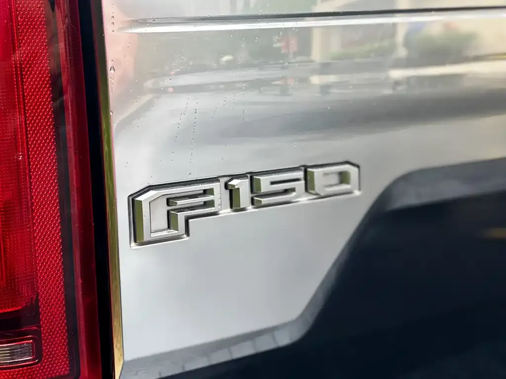 Ford F-150 Raptor 2021 из CN, фото 8