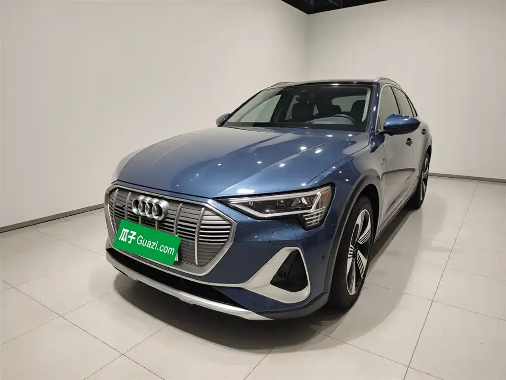 Audi e-tron (Import) 2022 из CN, фото 4