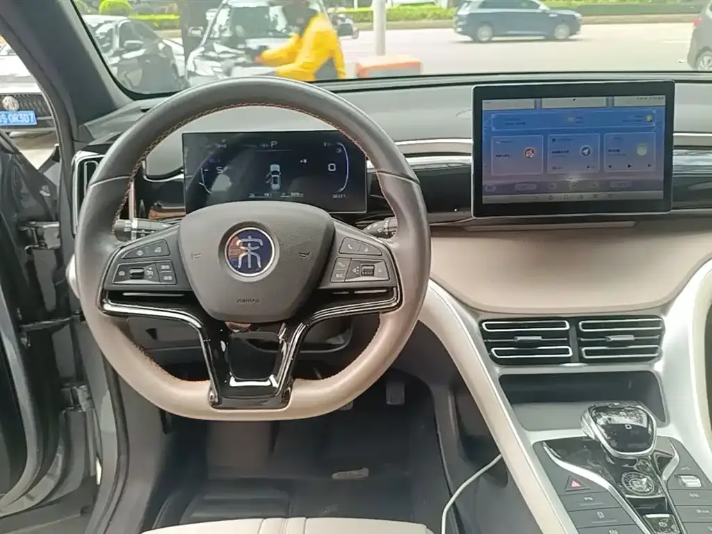 BYD Pro New Energy 2024 из CN, фото 10