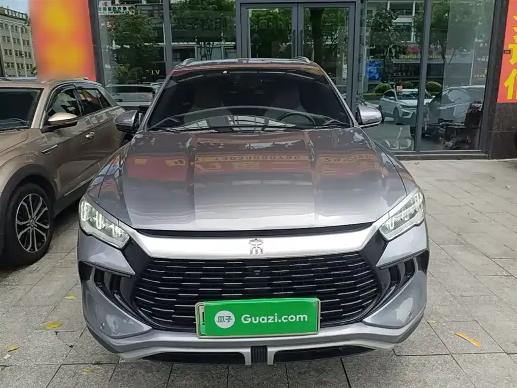 BYD Pro New Energy 2024 из CN, фото 4