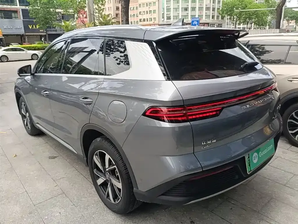 BYD Pro New Energy 2024 из CN, фото 9