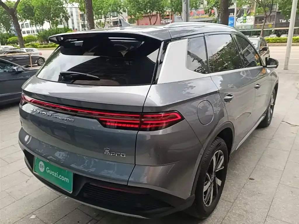 BYD Pro New Energy 2024 из CN, фото 3
