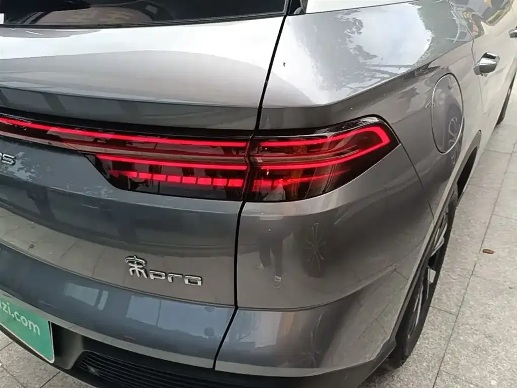 BYD Pro New Energy 2024 из CN, фото 8