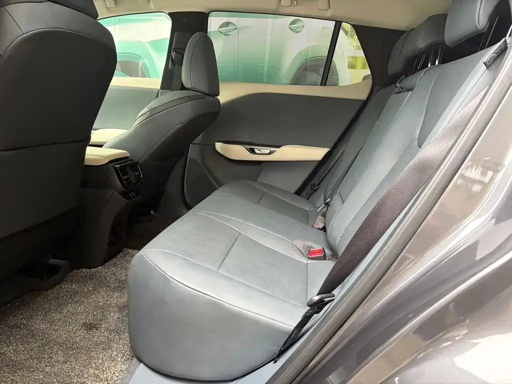 Lexus RZ 2023 из CN, фото 3