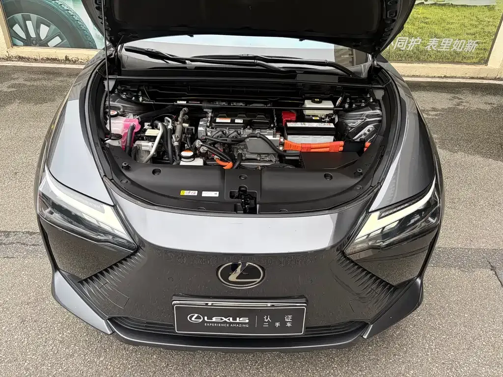 Lexus RZ 2023 из CN, фото 8