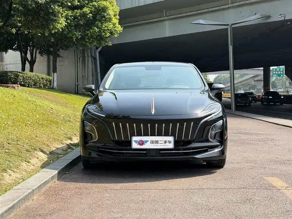 Hongqi E-QM5 2023 из CN, фото 10