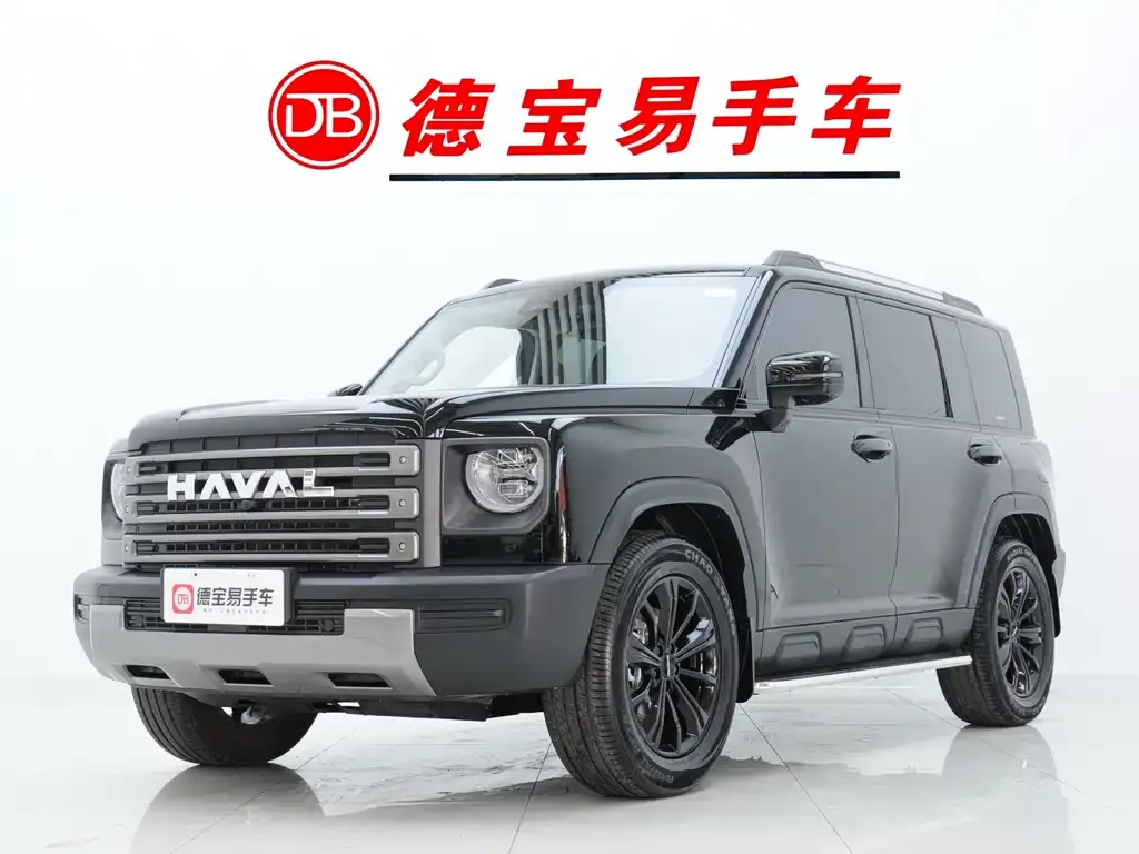 Haval Menglong New Energy — фото 1