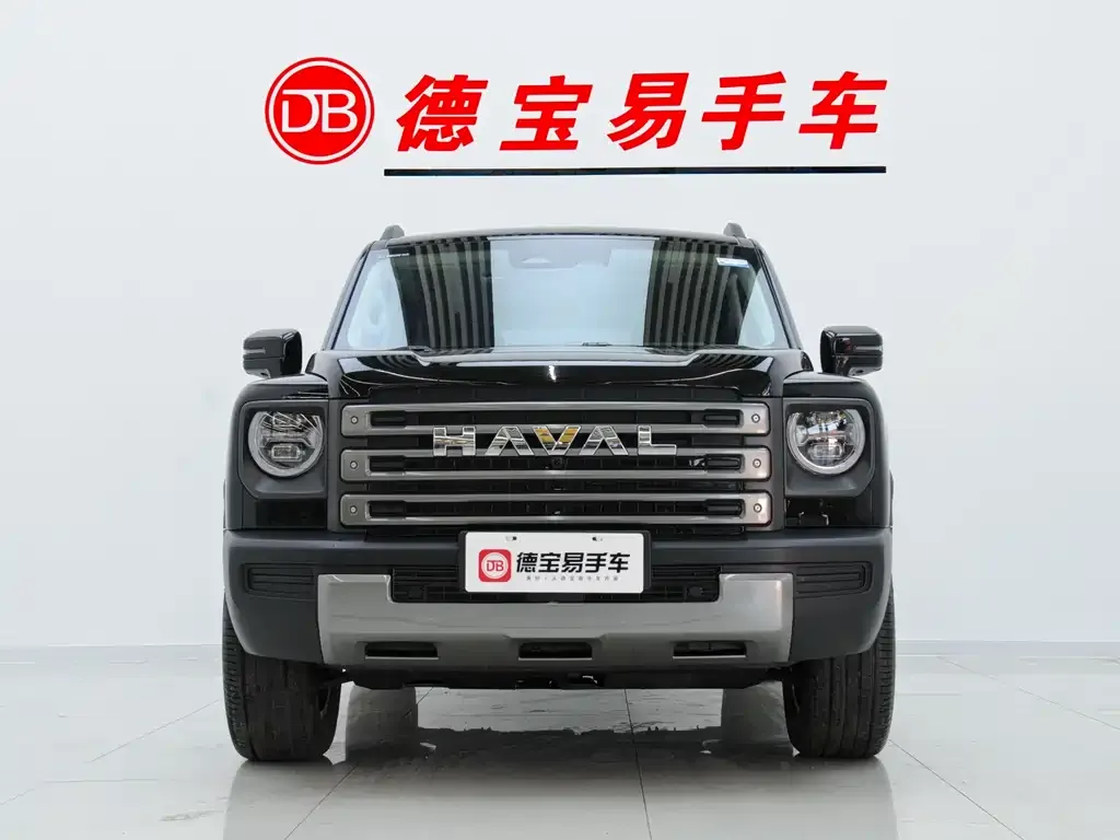 Haval Menglong New Energy — фото 9