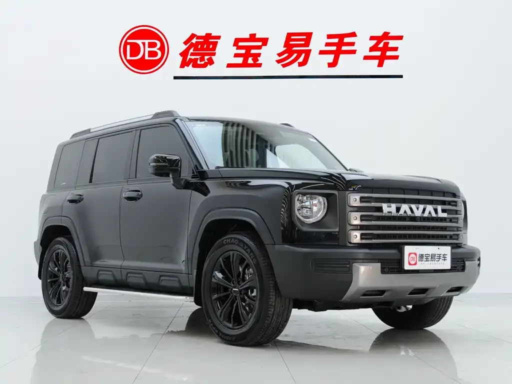 Haval Menglong New Energy — фото 3